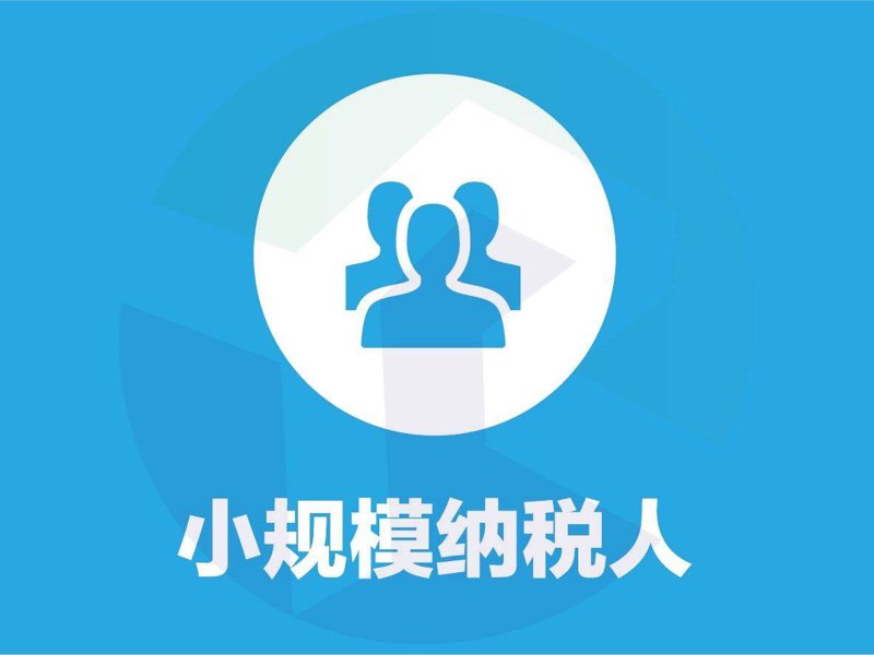 了解公司注册的全流程，是创业者在踏上创业之路前必不可少的一课。从准备阶段到最终完成，每个步骤都至关重要。